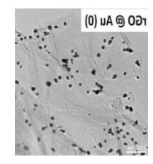 Nanoinnova负载金属纳米金粒子石墨烯