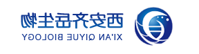 200-300nm介孔四氧化三铁