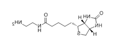 Biotin-EA 生物素-乙二胺 Biotin-EA 生物素-乙二胺