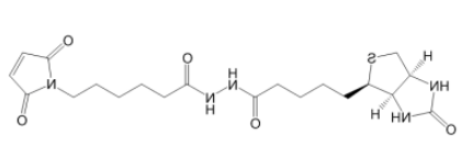 	Biotin-Maleimide