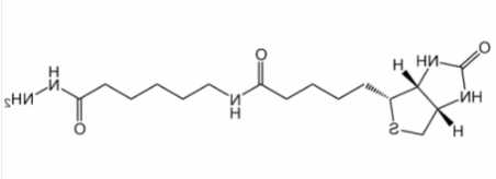 生物素酰胺基己酰肼