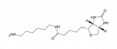 N-Biotinyl-1,6-hexanediamine 生物素-1.6-已二胺