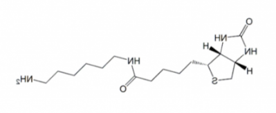 N-Biotinyl-1,6-hexanediamine 生物素-1.6-已二胺