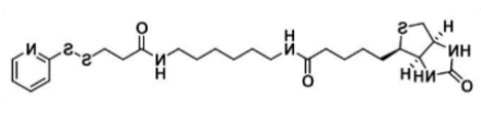 生物素-二硫吡啶