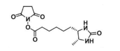 Desthiobiotin NHS Ester