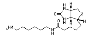 (+)-Biotinyl hexylamine