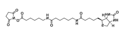 生物素酰氨基己酰-6-氨基己酸N-羟基琥珀酰亚胺酯