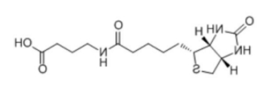 生物素酰基-4-氨基丁酸