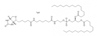 1,2-二棕榈酰-sn-甘油-3-磷酸乙酰胺-N-生物素