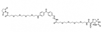 紫外线示踪生物素-琥珀酰亚胺酯