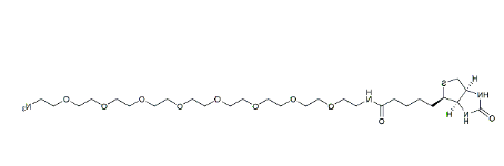 Biotin-PEG8-azide