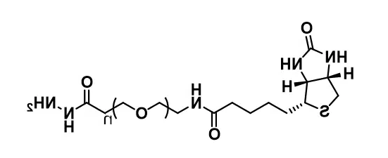 Biotin-PEG8-hydrazide