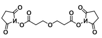 CAS:65869-64-9；双(2,5-二氧代吡咯烷-1-基) 3,3-氧基二丙酸酯；Bis-PEG1-NHS ester