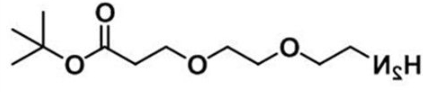 CAS:756525-95-8；氨基-二聚乙二醇-丙酸叔丁酯；NH2-PEG2-CH2CH2COOtBu