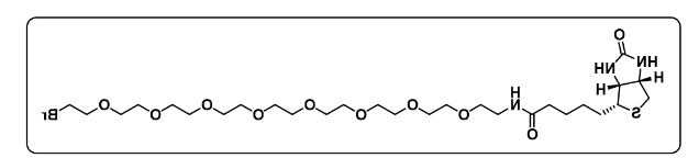 Biotin-PEG8-Br