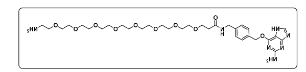 BG-PEG8-Amine