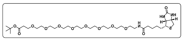 Biotin-PEG8-Boc