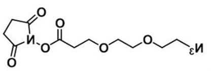CAS:1312309-64-0；叠氮二聚乙二醇活性酯；Azide-PEG2-NHS ester；N3-PEG2-NHS