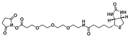 CAS:1253286-56-4；生物素三聚乙二醇活性酯；(+)-Biotin-PEG3-NHS Ester