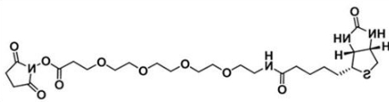 生物素四聚乙二醇活性酯；(+)-Biotin-PEG4-NHS Ester