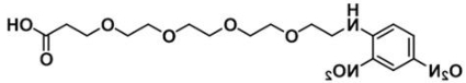 产品名称	DNP-PEG4-Acid；858126-76-8