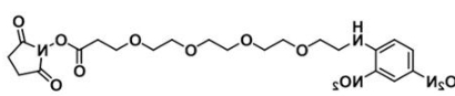 CAS:858126-78-0；DNP-PEG4-NHS ester