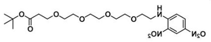 CAS:1817735-31-1；COOtBu-PEG4-DNP；DNP-PEG4-t-butyl ester