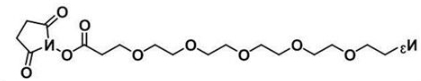 CAS:1433996-86-1；叠氮五聚乙二醇活性酯；Azide-PEG5-NHS ester；N3-PEG5-NHS
