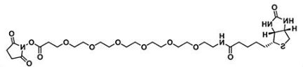 生物素六聚乙二醇活性酯；Biotin-PEG6-NHS ester