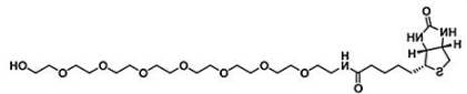 生物素-八聚乙二醇-羟基；Biotin-PEG8-OH