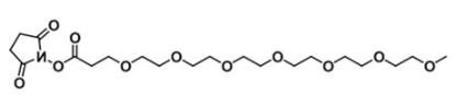 CAS:874208-92-1；甲氧基-七聚乙二醇-活性酯；m-PEG7-NHS ester