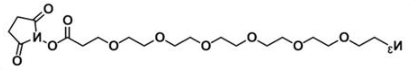 CAS:C19H32N4O10；叠氮六聚乙二醇活性酯；Azide-PEG6-NHS ester；N3-PEG6-NHS