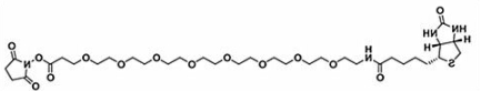 生物素八聚乙二醇活性酯；Biotin-PEG8-NHS ester；(+)-Biotin-PEG8-NHS Ester