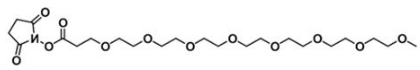 CAS:756525-90-3；甲氧基-八聚乙二醇-活性酯；m-PEG8-NHS ester