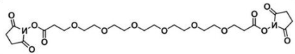CAS:1526718-98-8；双-六聚乙二醇-酯；Bis-PEG6-NHS ester