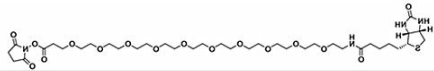 生物素十聚乙二醇活性酯；Biotin-PEG10-NHS ester；(+)-Biotin-PEG10-NHS Ester