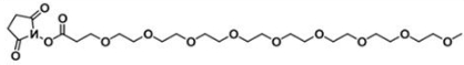 CAS:1316189-13-5；甲氧基-九聚乙二醇-活性酯；m-PEG9-NHS ester