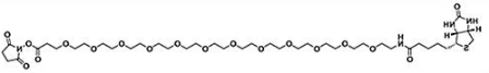 生物素十二聚乙二醇活性酯；Biotin-PEG12-NHS ester