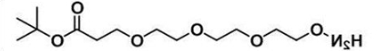 羟胺-三聚乙二醇-叔丁酯；Amineoxy-PEG3-t-butyl ester