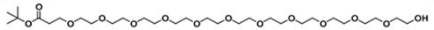 十一聚乙二醇丙酸叔丁酯；Hydroxy-PEG11-t-butyl ester