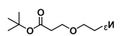 CAS:1374658-85-1；叠氮十二聚乙二醇活性酯；Azide-PEG12-NHS ester；N3-PEG12-NHS