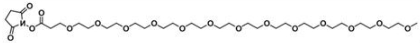 CAS:756525-94-7；甲氧基-十三聚乙二醇-活性酯；m-PEG13-NHS ester