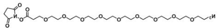 叠氮九聚乙二醇活性酯；Azide-PEG9-NHS ester；N3-PEG9-NHS