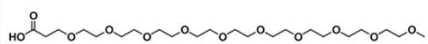 甲基-十聚乙二醇-羧酸；m-PEG10-COOH