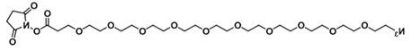 叠氮十聚乙二醇活性酯；Azide-PEG10-NHS ester；N3-PEG10-NHS
