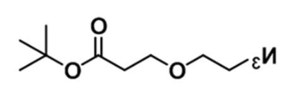 产品名称 Azide-PEG1-t-Butyl ester；1374658-85-1