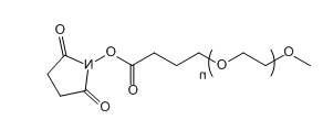 mPEG-SBA；甲氧基聚乙二醇-丁酸琥珀酰亚胺酯；mPEG-Succinimidyl Butanoate