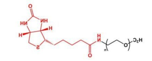 甲氧基PEG生物素 