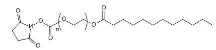 LRA-PEG-SC 月桂酸-聚乙二醇-琥珀酰亚胺酯