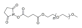 mPEG-SS;mPEG-Succinimidyl Succinate ester;甲氧基聚乙二醇琥珀酰亚胺琥珀酸酯